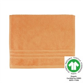 G�stetuch 30x50 cm camel 546